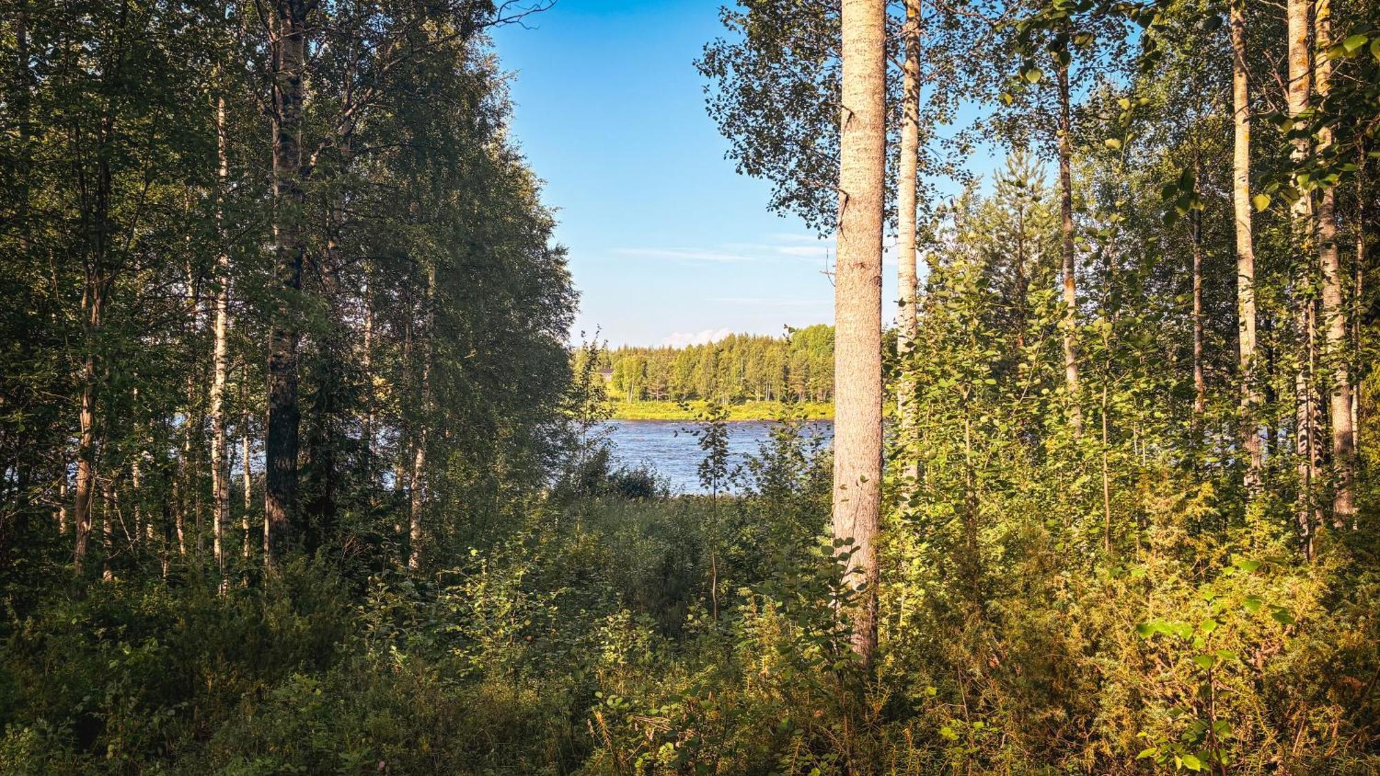 Sky Lodging ~ Sleeping Under The Stars Rovaniemi Exterior photo